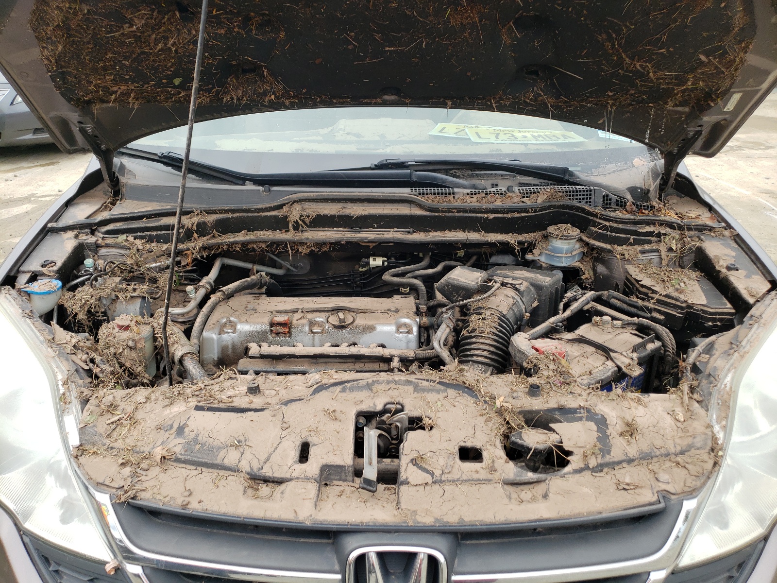 Photo 7 from auction – 2011 HONDA CR-V SE with VIN 5J6RE4H48BL123192