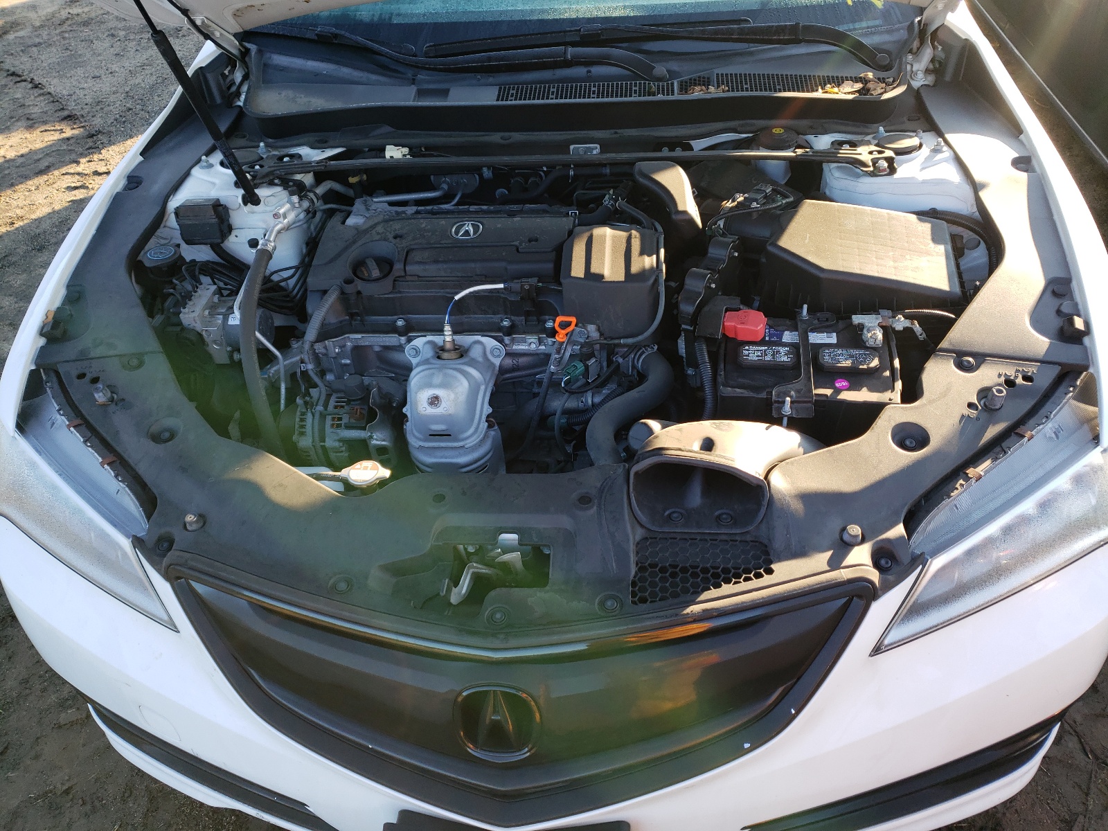 Photo 7 from auction – 2016 ACURA TLX TECH with VIN 19UUB1F5XGA013820