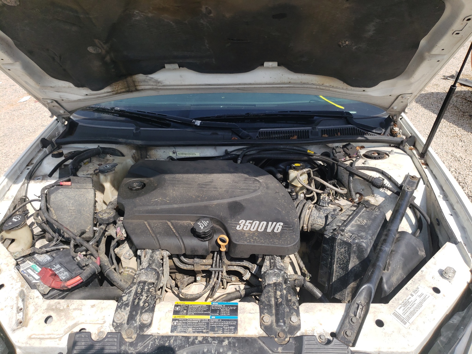 Photo 7 from auction – 2008 CHEVROLET IMPALA LS with VIN 2G1WB58K481317022