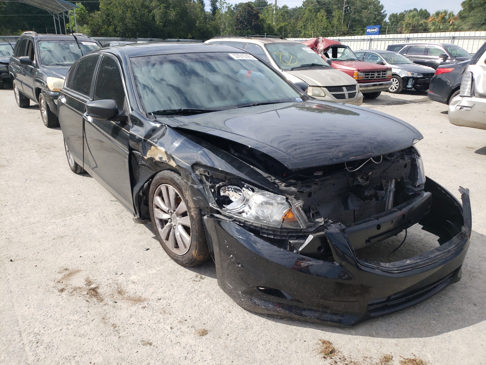 Photo 1 from auction – 2011 HONDA ACCORD EXL with VIN 1HGCP3F83BA010267