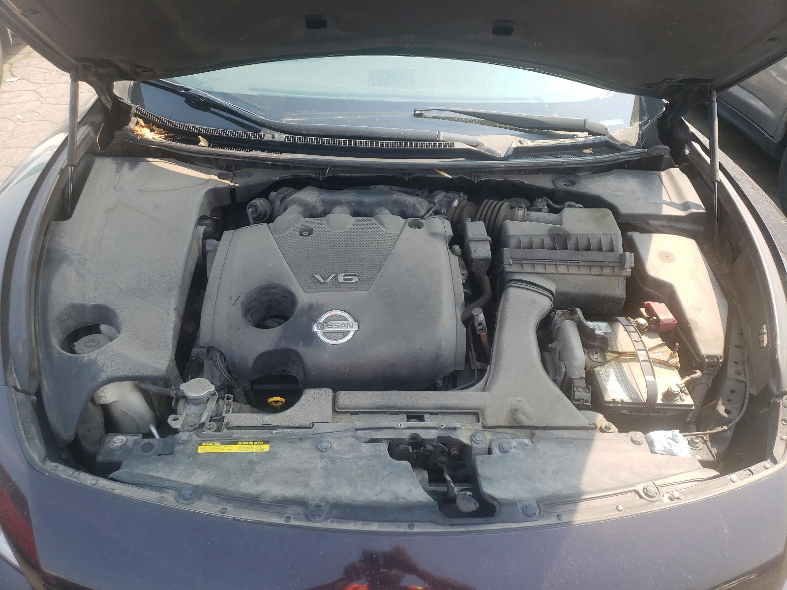 Photo 7 from auction – 2010 NISSAN MAXIMA S with VIN 1N4AA5AP4AC802454