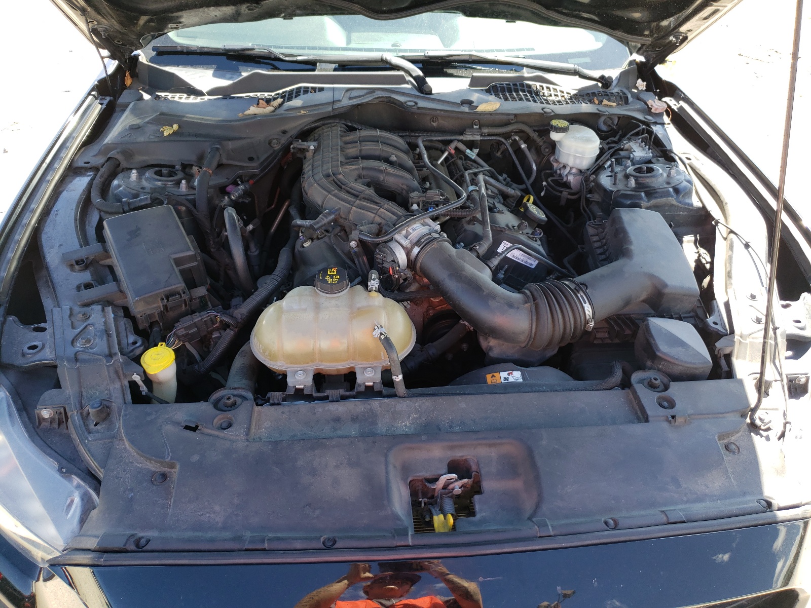 Photo 7 from auction – 2015 FORD MUSTANG with VIN 1FA6P8AM9F5427183