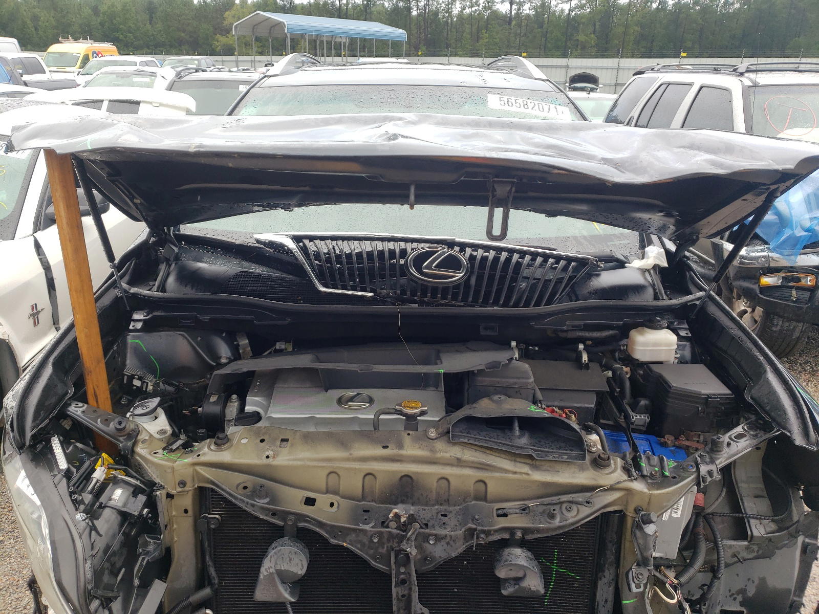 Photo 7 from auction – 2010 LEXUS RX 350 with VIN 2T2ZK1BA7AC010640