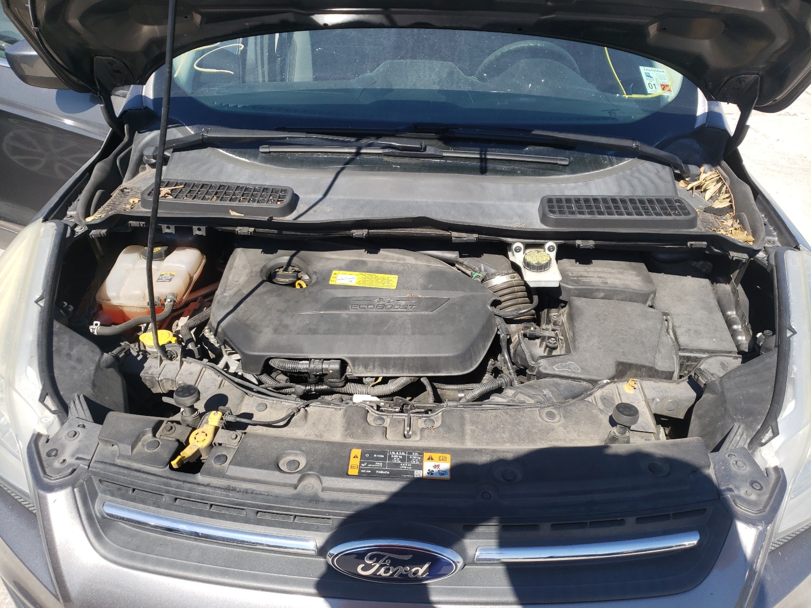 Photo 7 from auction – 2013 FORD ESCAPE SE with VIN 1FMCU0GXXDUD48886
