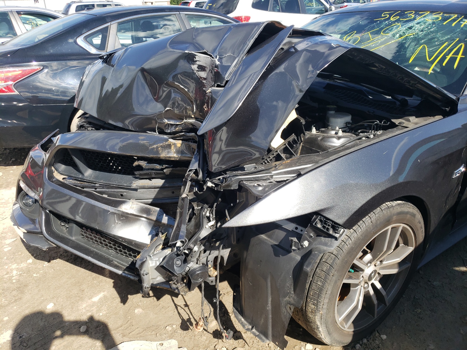 Photo 9 from auction – 2015 FORD MUSTANG GT with VIN 1FA6P8CF0F5304497