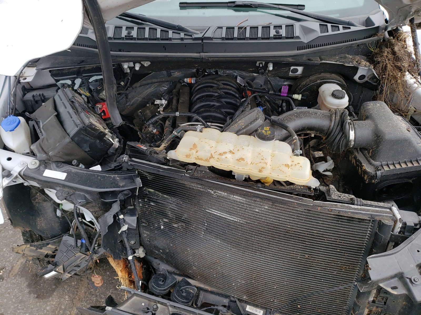Photo 7 from auction – 2018 FORD F150 SUPER with VIN 1FTEW1C54JFD49324