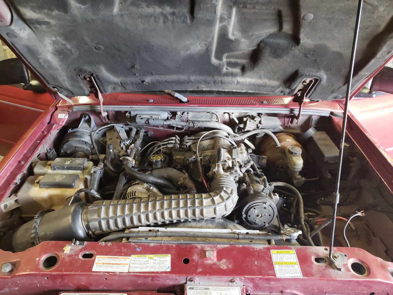 Photo 7 from auction – 1997 FORD RANGER SUP with VIN 1FTDR15XXVTA25058