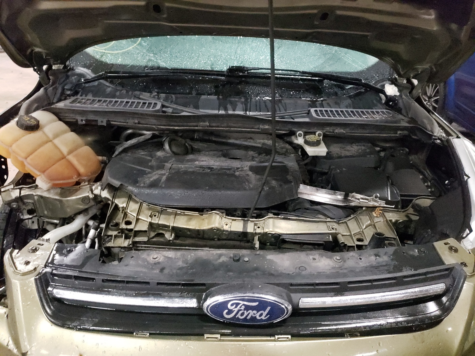 Photo 7 from auction – 2014 FORD ESCAPE SE with VIN 1FMCU0G94EUB03066