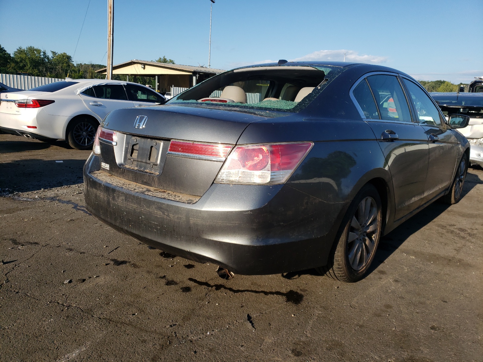 Photo 4 from auction – 2011 HONDA ACCORD EXL with VIN 1HGCP2F86BA072286