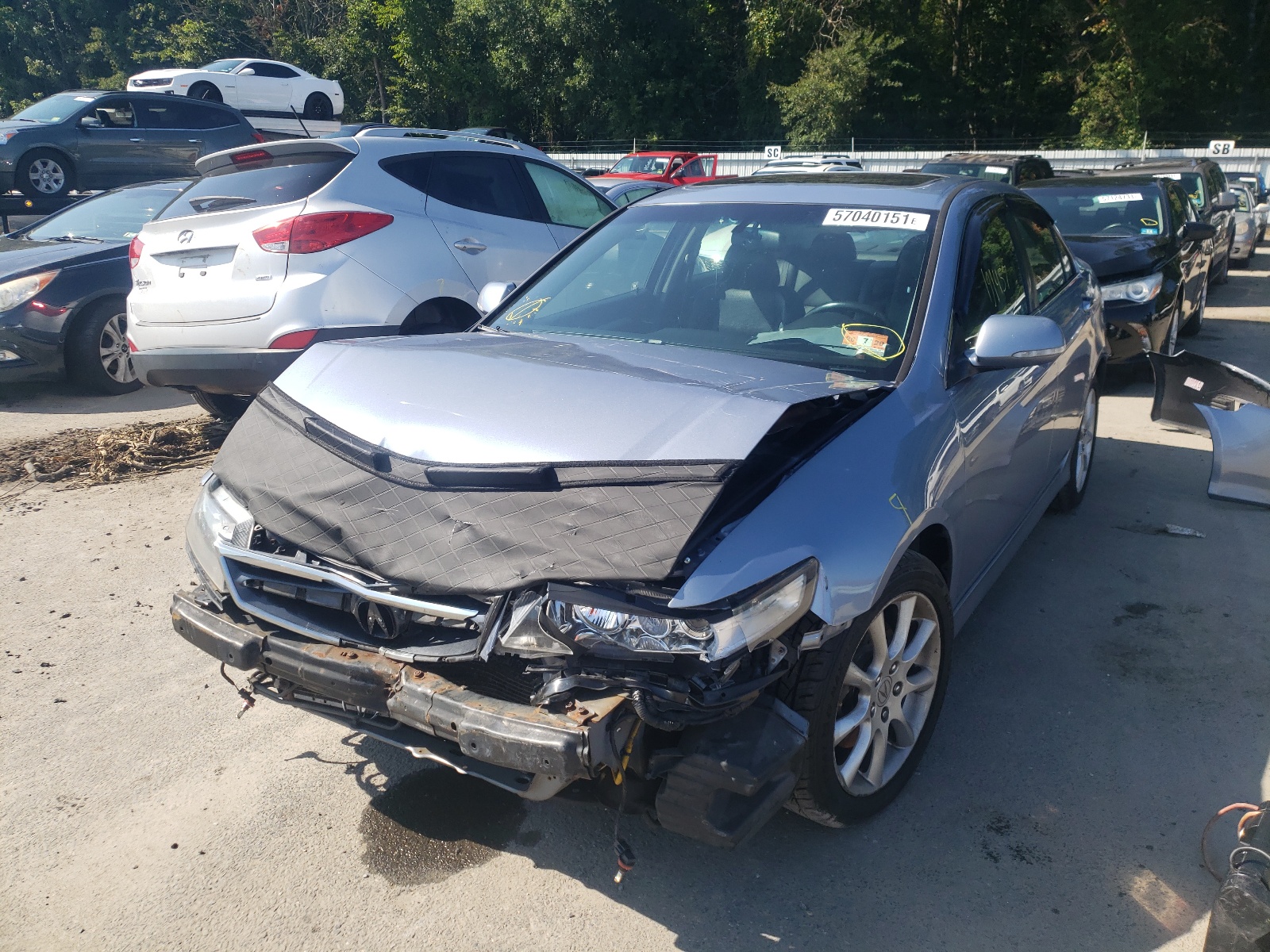 Photo 2 from auction – 2006 ACURA TSX with VIN JH4CL968X6C013849