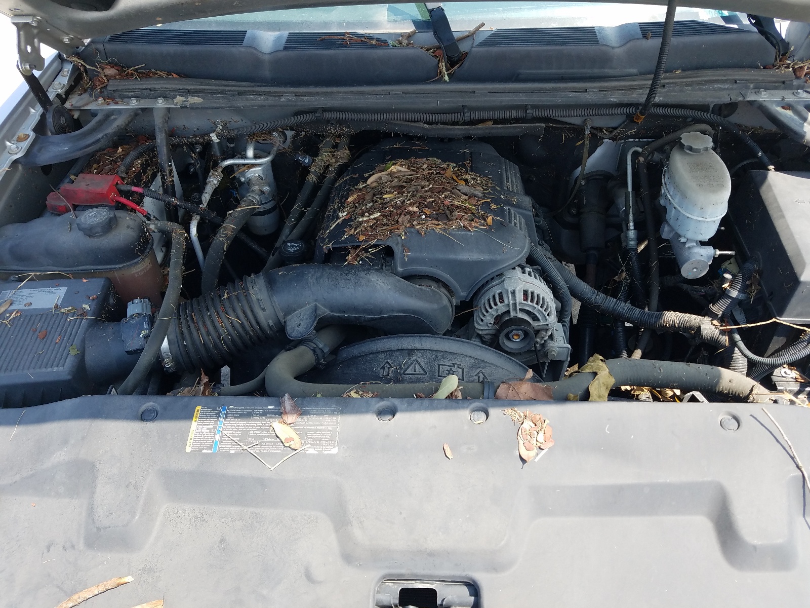 Photo 7 from auction – 2010 CHEVROLET SILVERADO with VIN 1GC4KXBG2AF150267