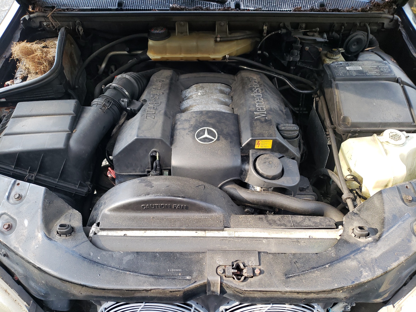 Photo 7 from auction – 2000 MERCEDES-BENZ M-CLASS with VIN 4JGAB54E3YA198043
