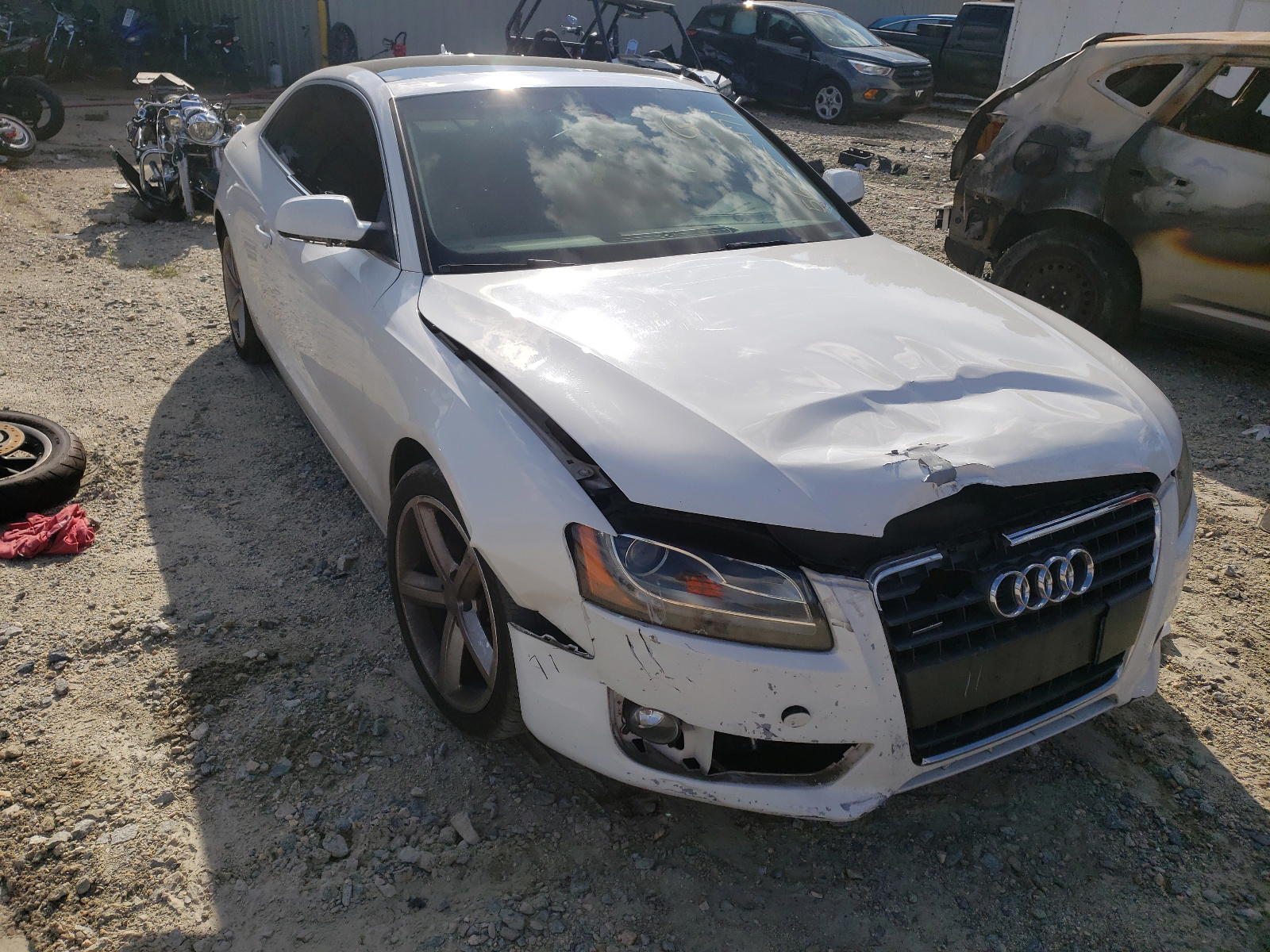 AUDI A5 PREMIUM 2010 with VIN WAULFAFR7AA075519 - Photo from auction