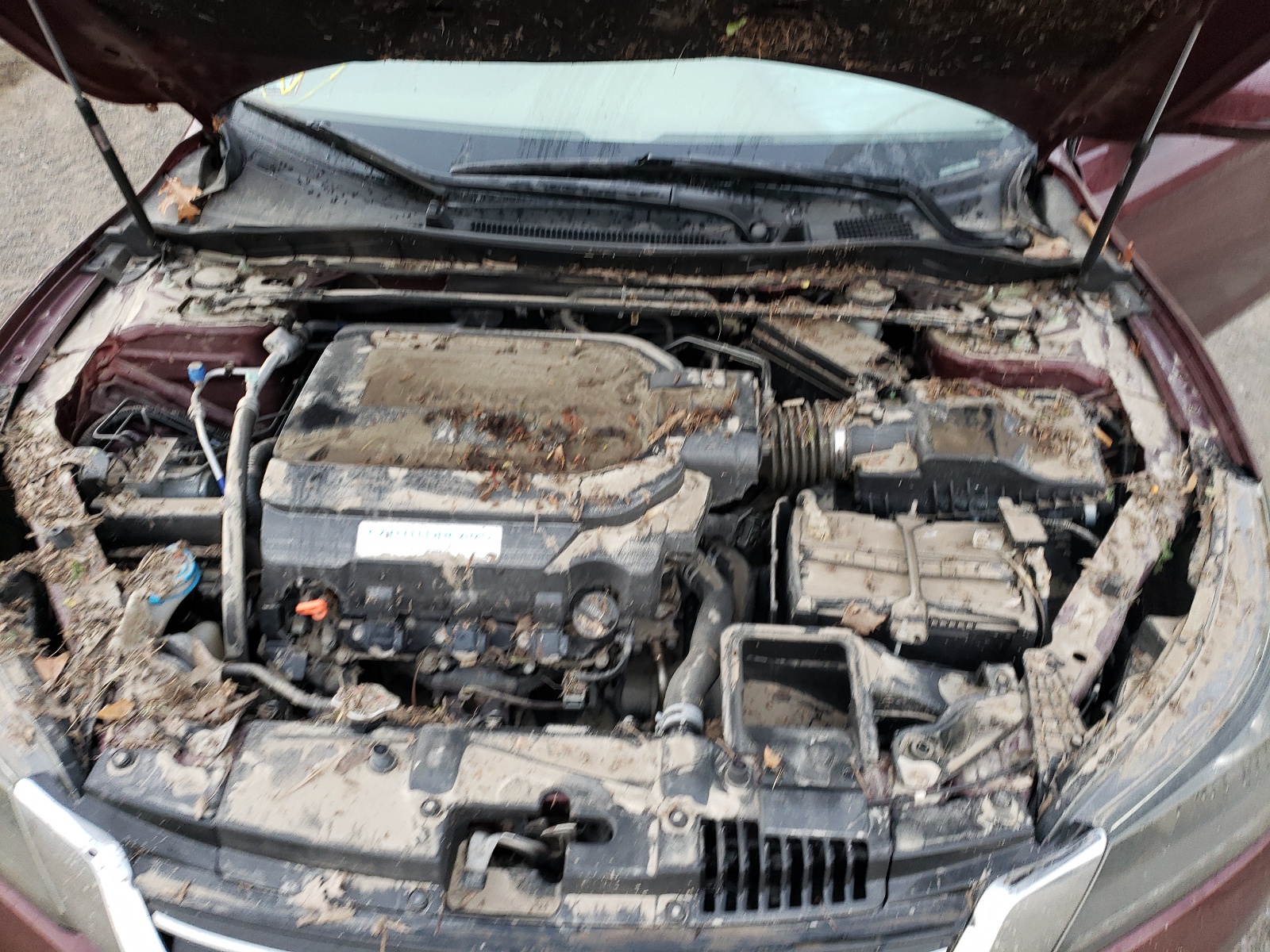 Photo 7 from auction – 2015 HONDA ACCORD EXL with VIN 1HGCR3F84FA015736