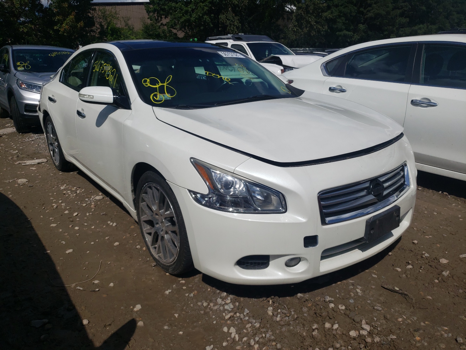 NISSAN MAXIMA S 2013 with VIN 1N4AA5AP0DC844415 - Photo from auction
