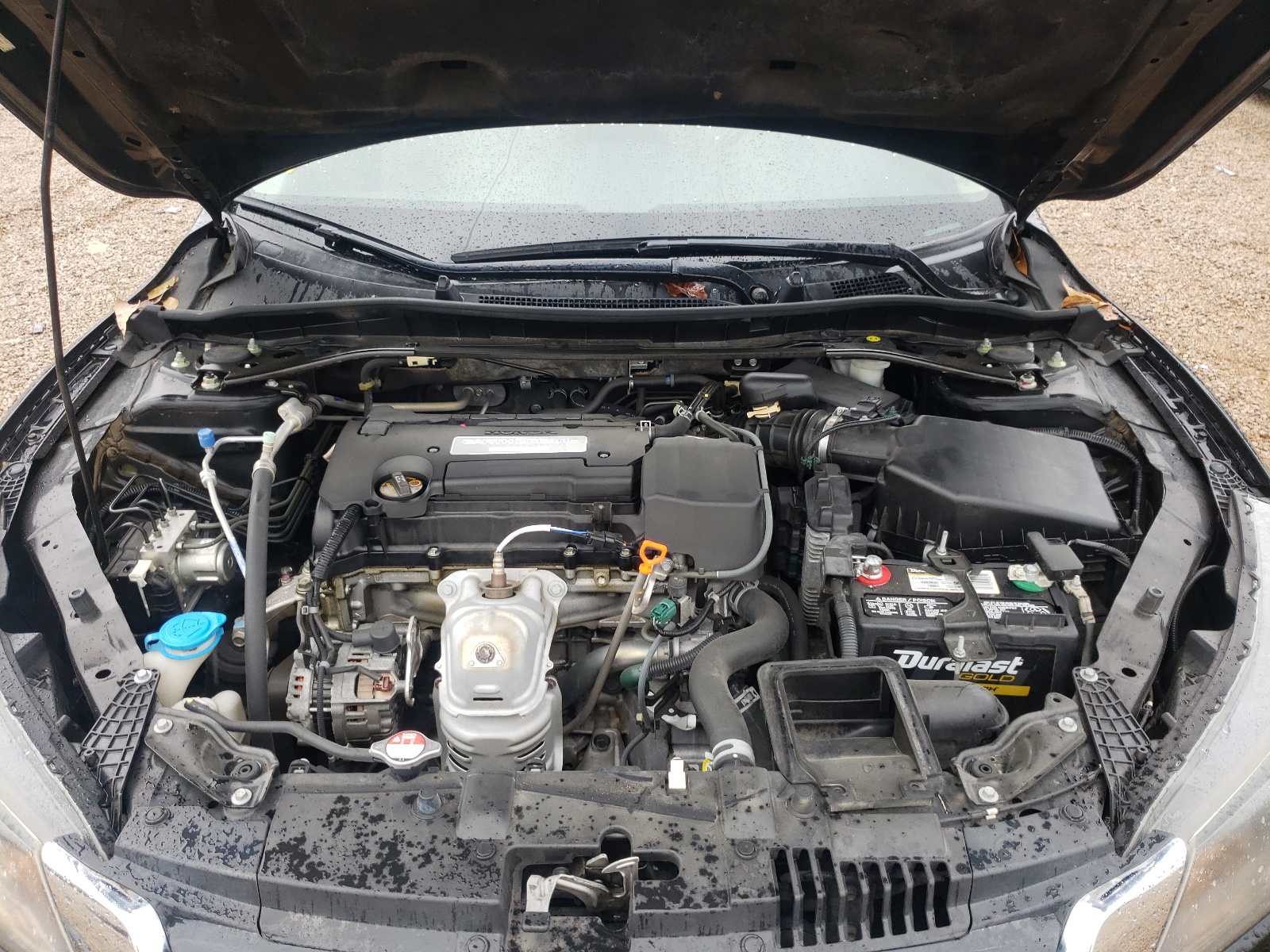 Photo 7 from auction – 2014 HONDA ACCORD EXL with VIN 1HGCR2F80EA068278