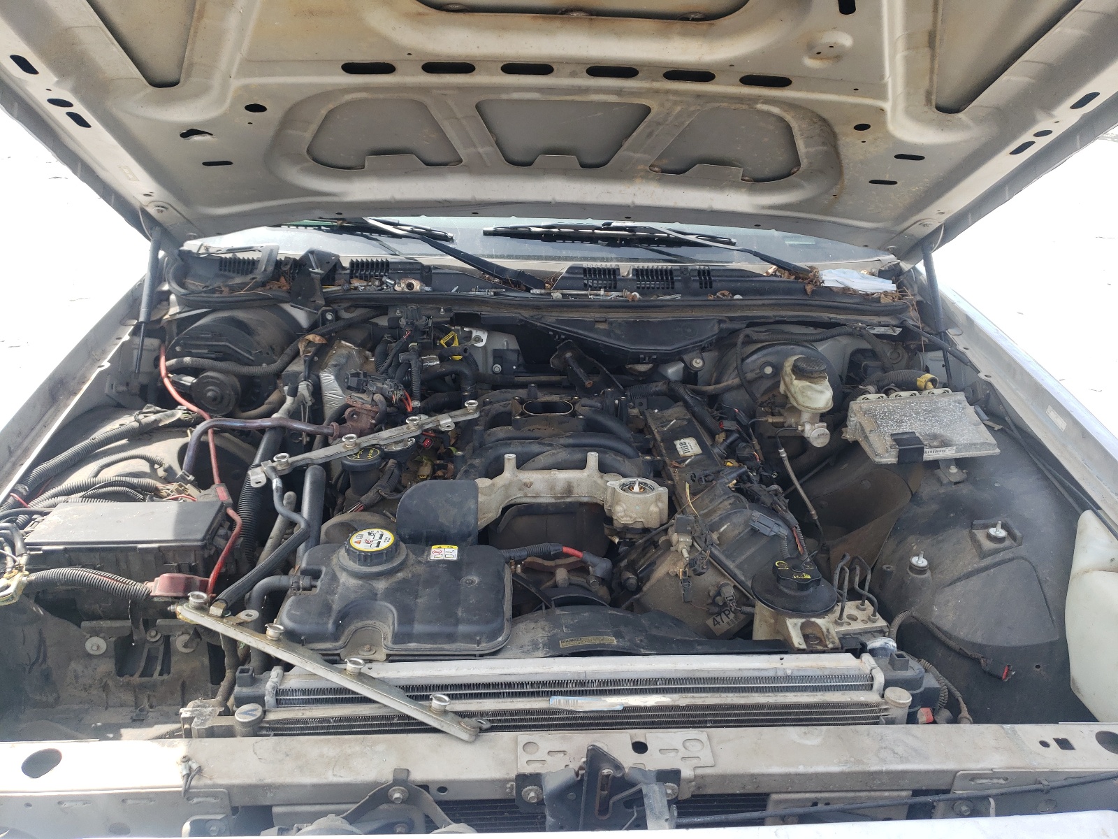 Photo 7 from auction – 2006 FORD CROWN VICT with VIN 2FAHP71W86X147273
