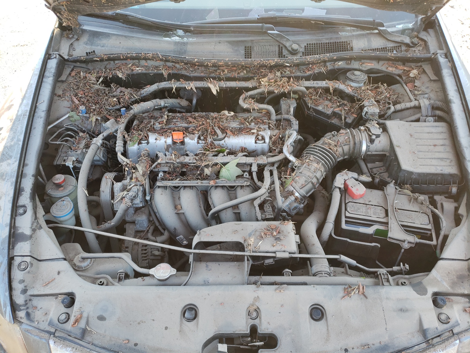 Photo 7 from auction – 2011 HONDA ACCORD EXL with VIN 1HGCP2F86BA072286