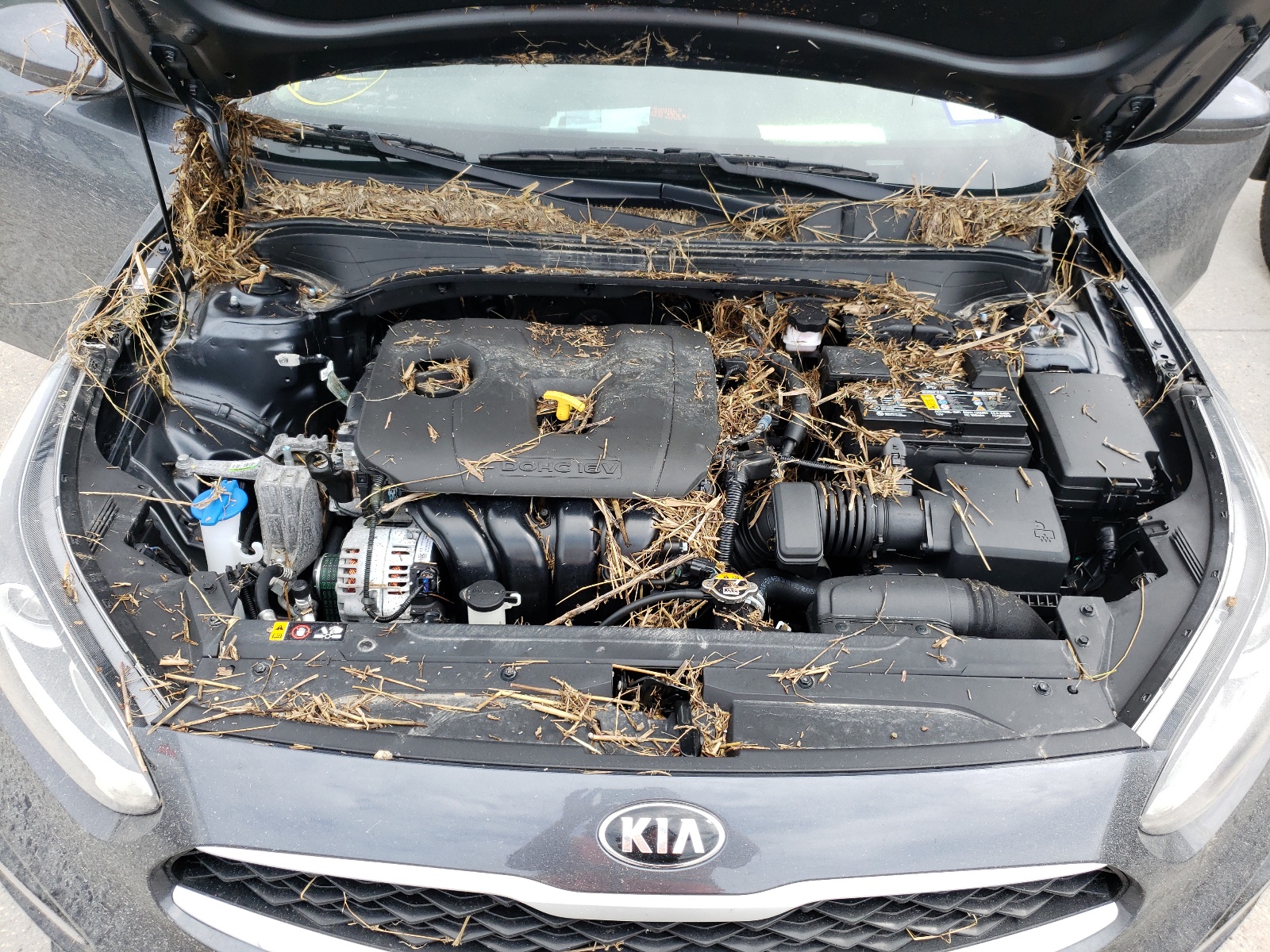 Photo 7 from auction – 2021 KIA FORTE FE with VIN 3KPF24AD0ME373579