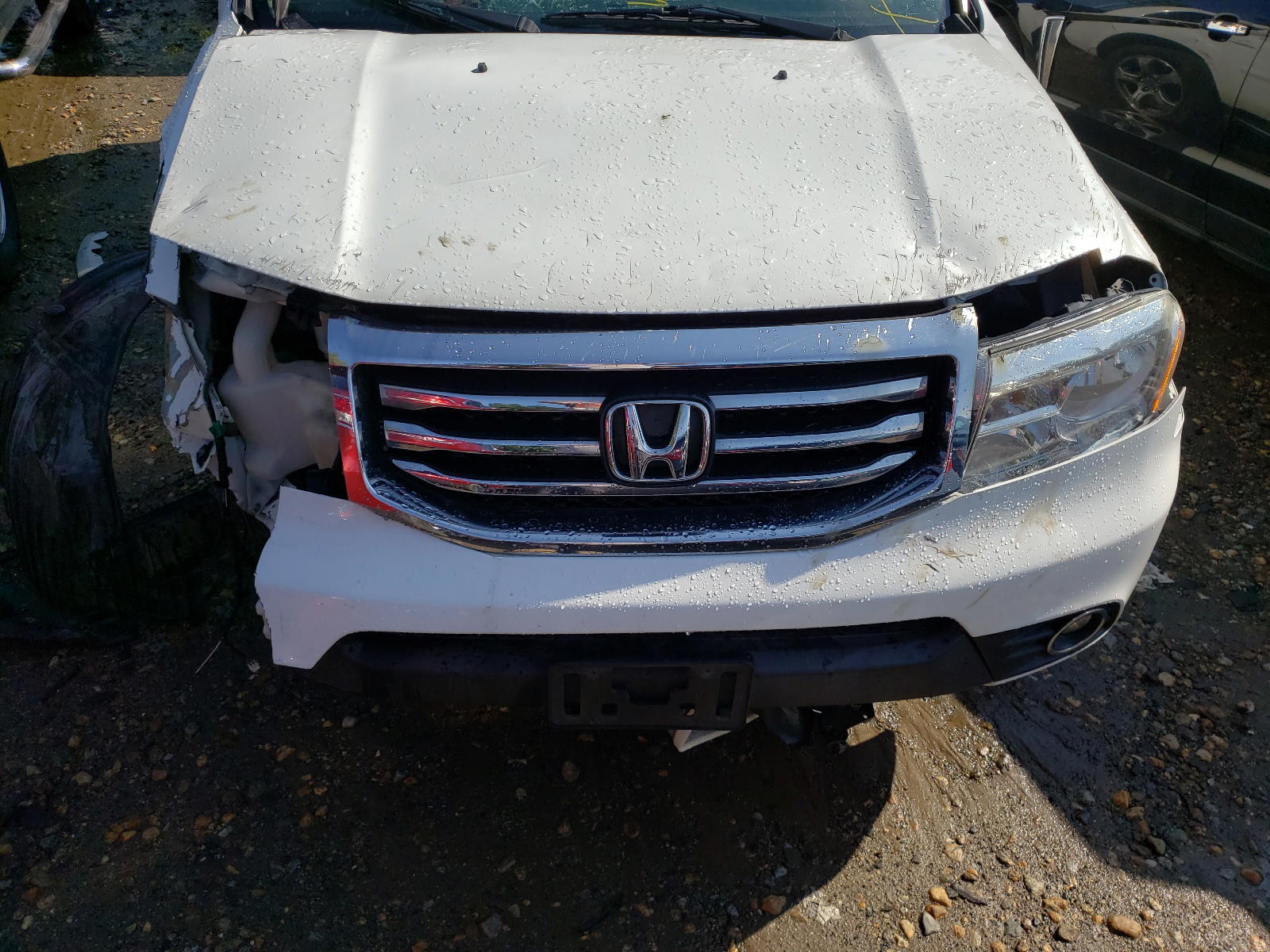 Photo 7 from auction – 2014 HONDA PILOT EXL with VIN 5FNYF4H58EB026847