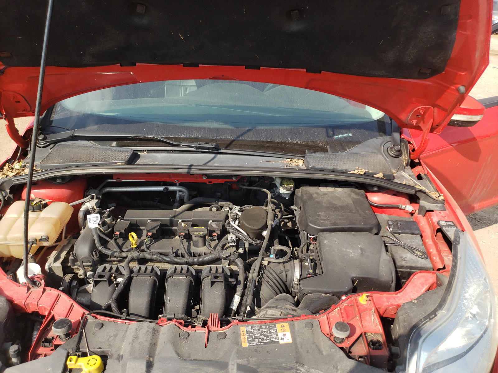 Photo 7 from auction – 2014 FORD FOCUS SE with VIN 1FADP3F28EL330794