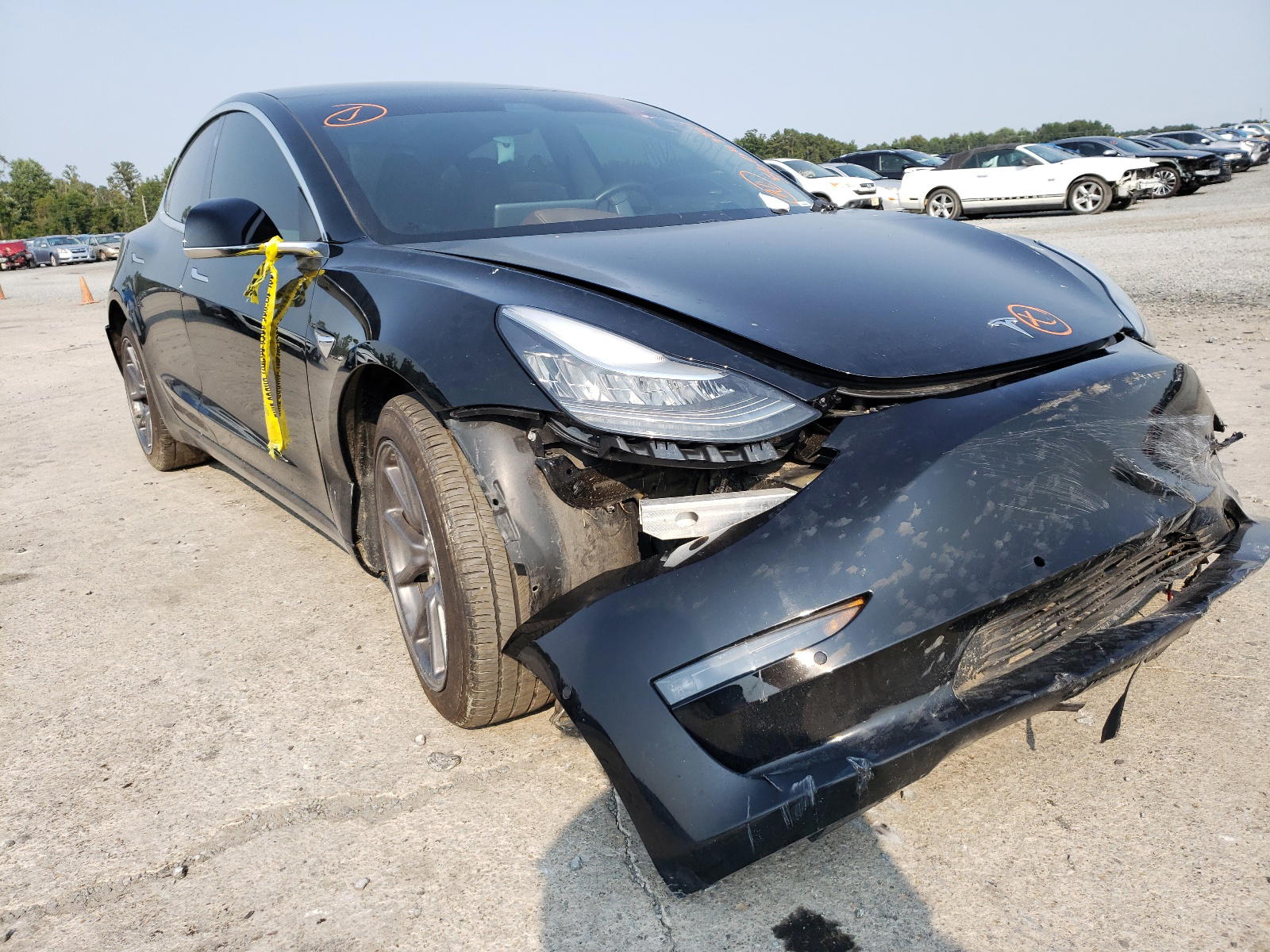 TESLA MODEL 3 2019 with VIN 5YJ3E1EA4KF397772 - Photo from auction