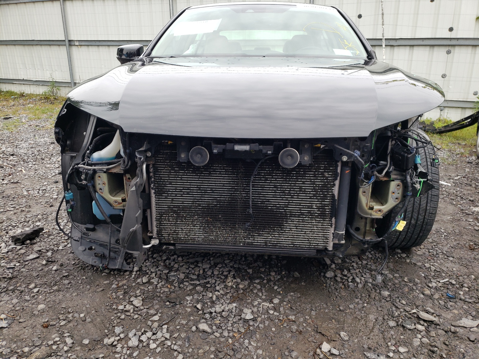 Photo 9 from auction – 2014 HONDA ACCORD EXL with VIN 1HGCR2F81EA194293