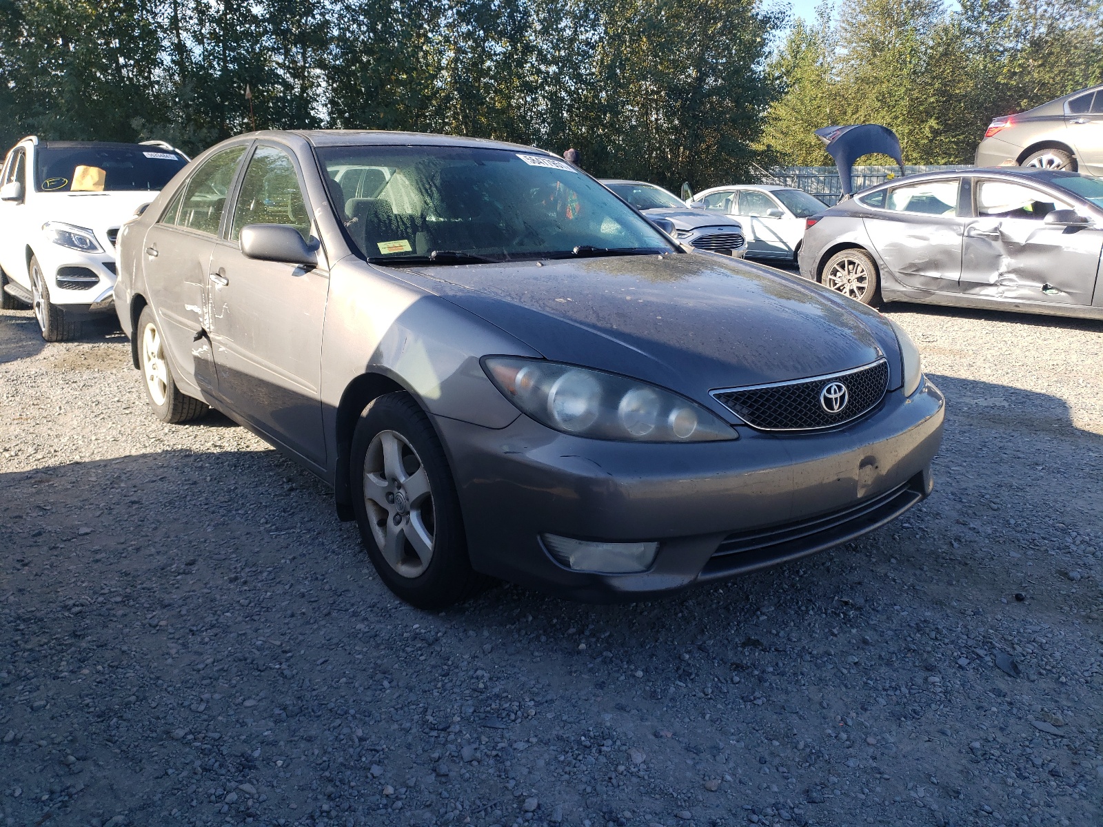 TOYOTA CAMRY LE 2006 with VIN 4T1BE32K56U643404 - Photo from auction