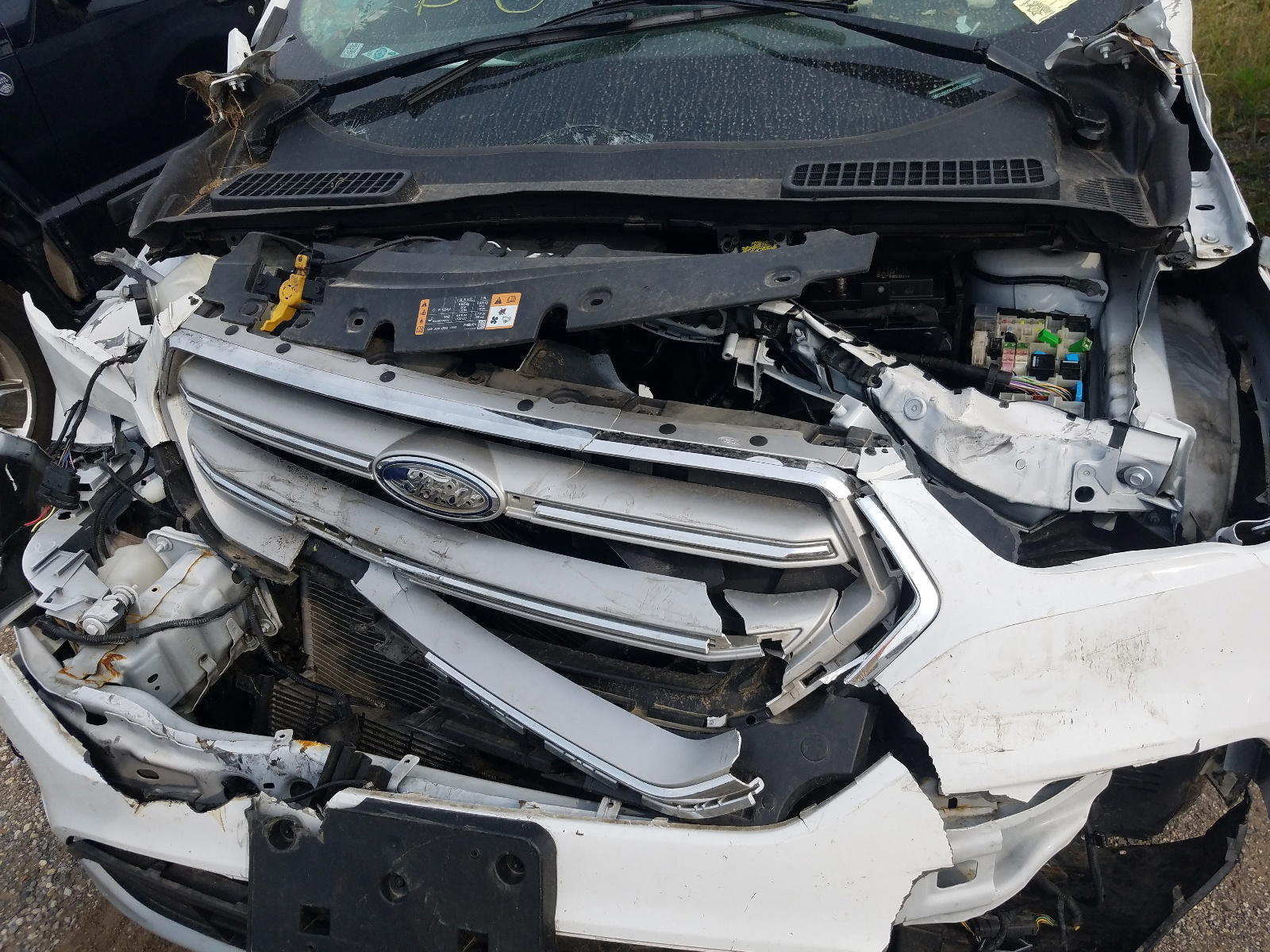 Photo 7 from auction – 2018 FORD ESCAPE SE with VIN 1FMCU0GD6JUC89000