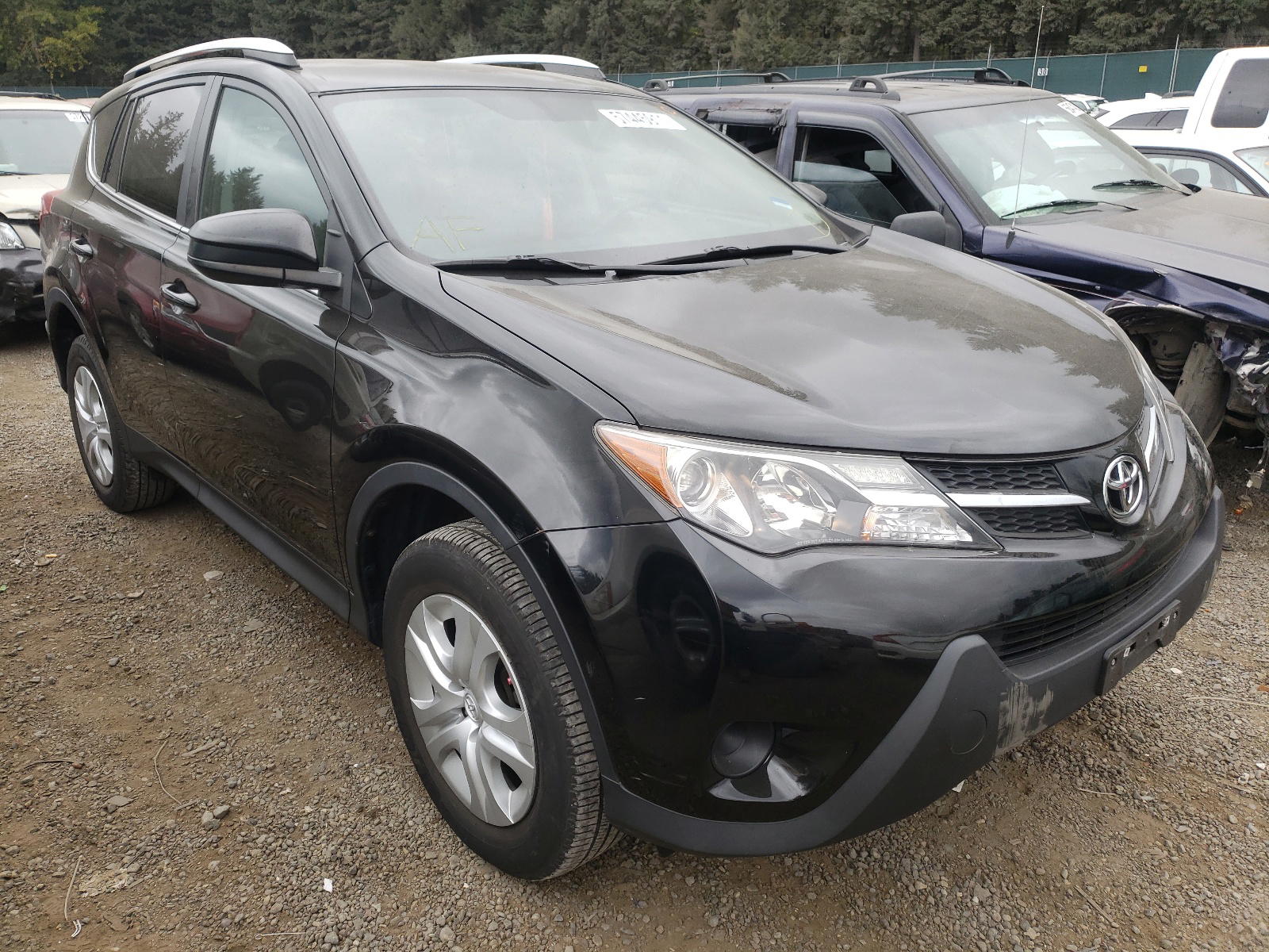 TOYOTA RAV4 LE 2015 with VIN 2T3BFREV2FW363761 - Photo from auction