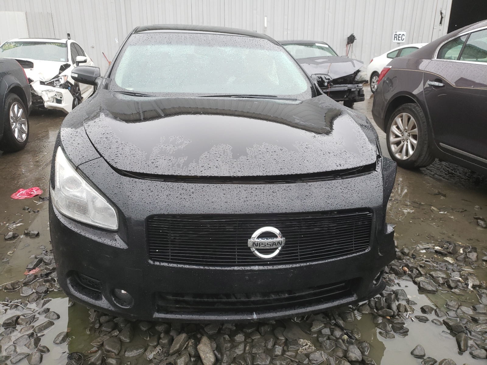 Photo 7 from auction – 2010 NISSAN MAXIMA S with VIN 1N4AA5AP5AC853719
