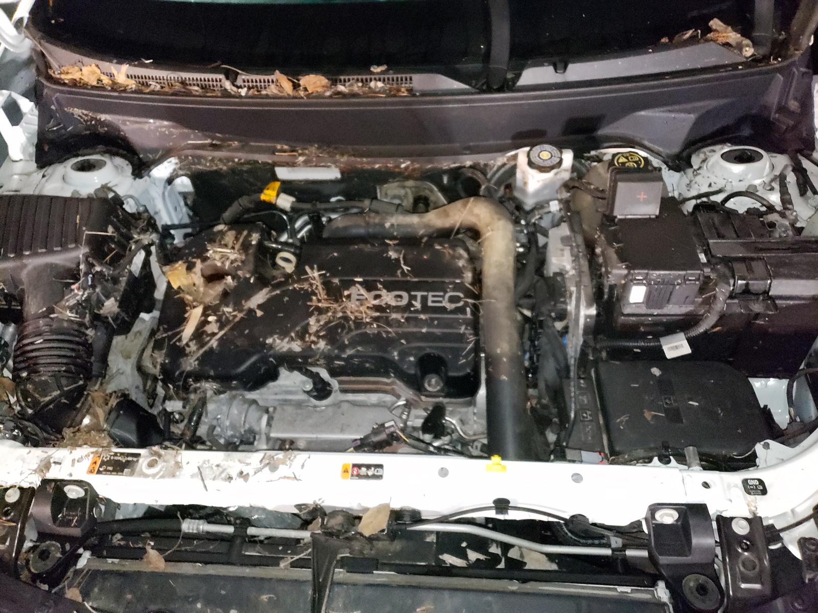 Photo 7 from auction – 2018 CHEVROLET EQUINOX LT with VIN 2GNAXSEV3J6316007