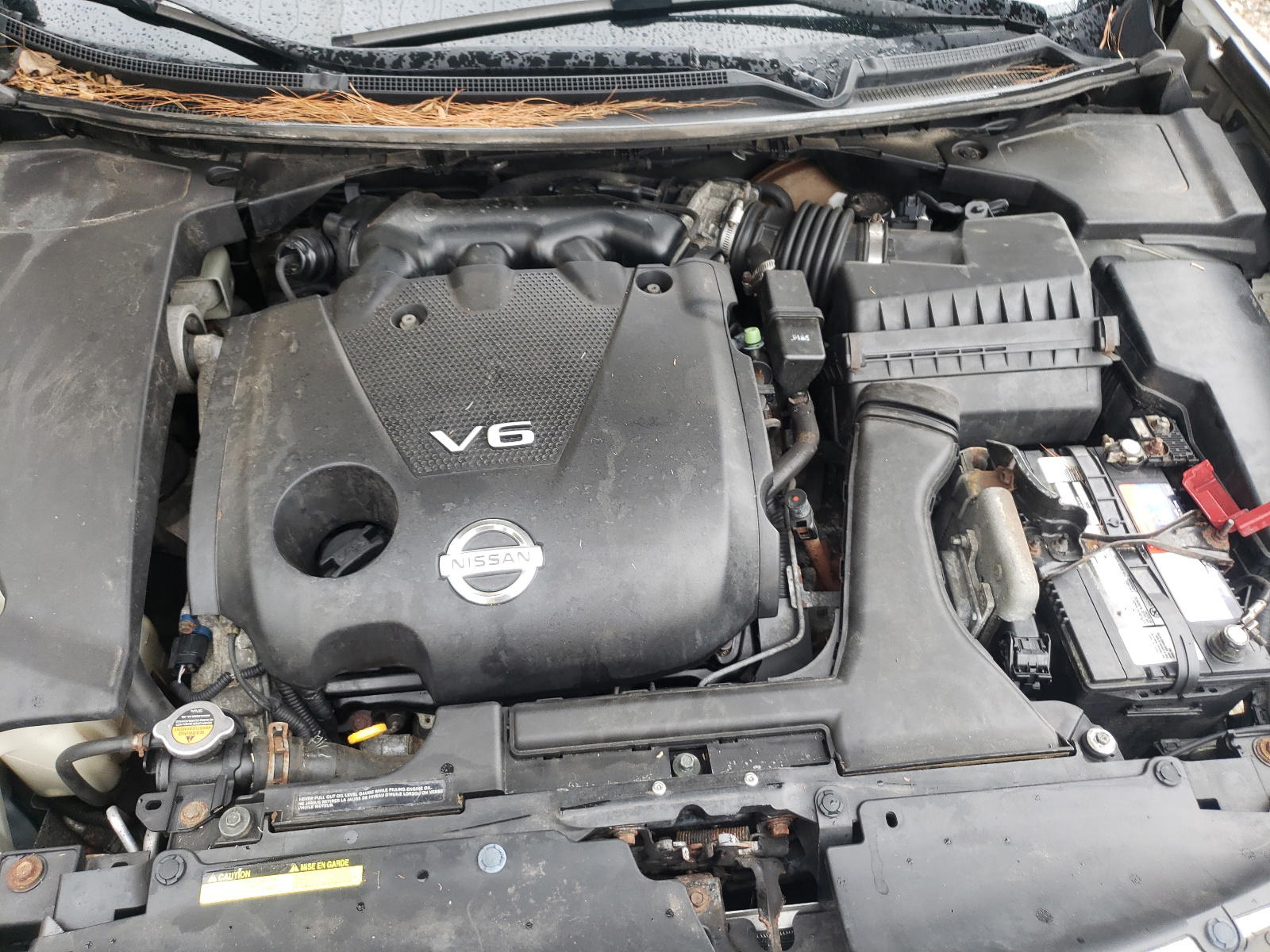 Photo 7 from auction – 2009 NISSAN MAXIMA S with VIN 1N4AA51E09C853878