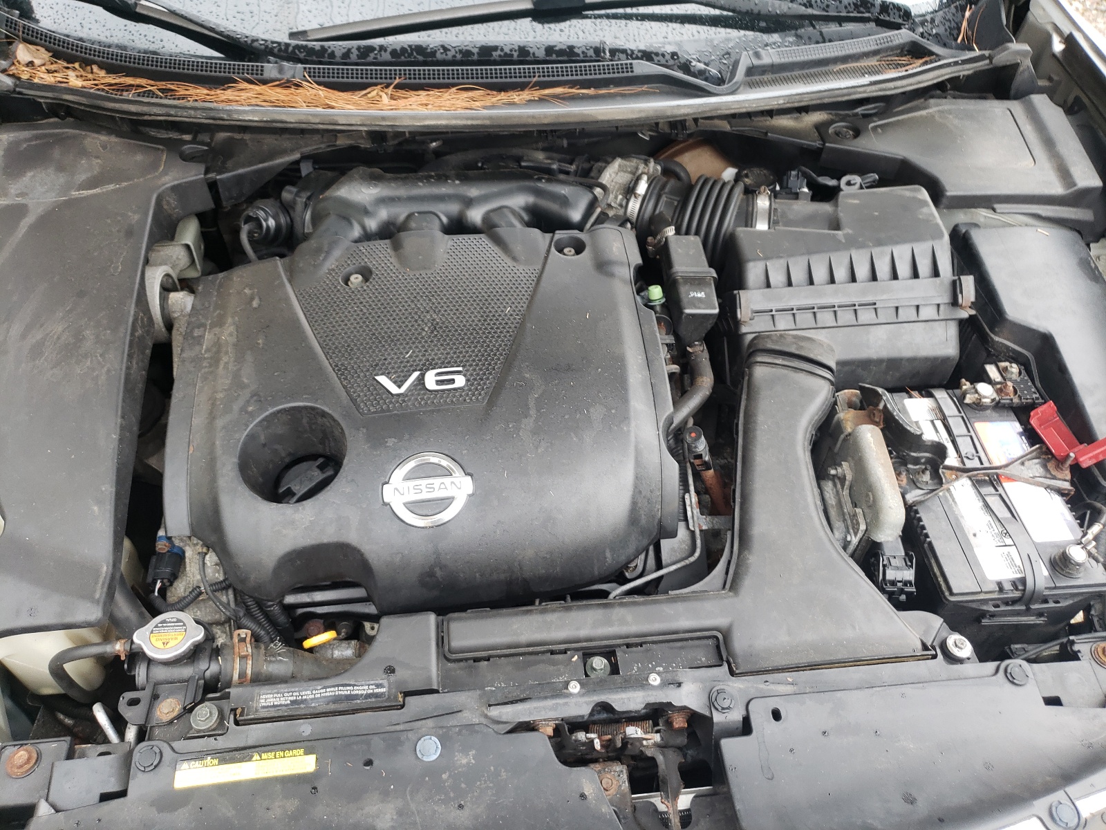 Zdjęcie 7 z aukcji – 2009 NISSAN MAXIMA S z VIN 1N4AA51E09C853878