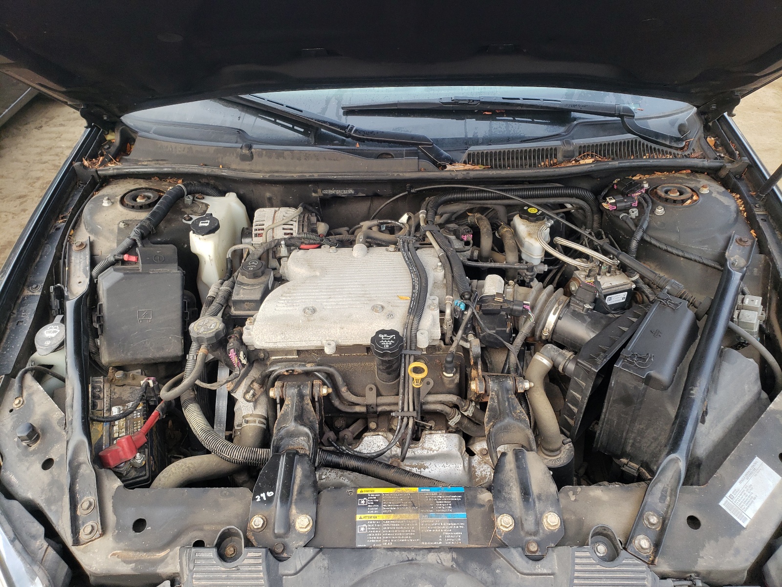 Photo 7 from auction – 2010 CHEVROLET IMPALA LT with VIN 2G1WB5EN8A1188769