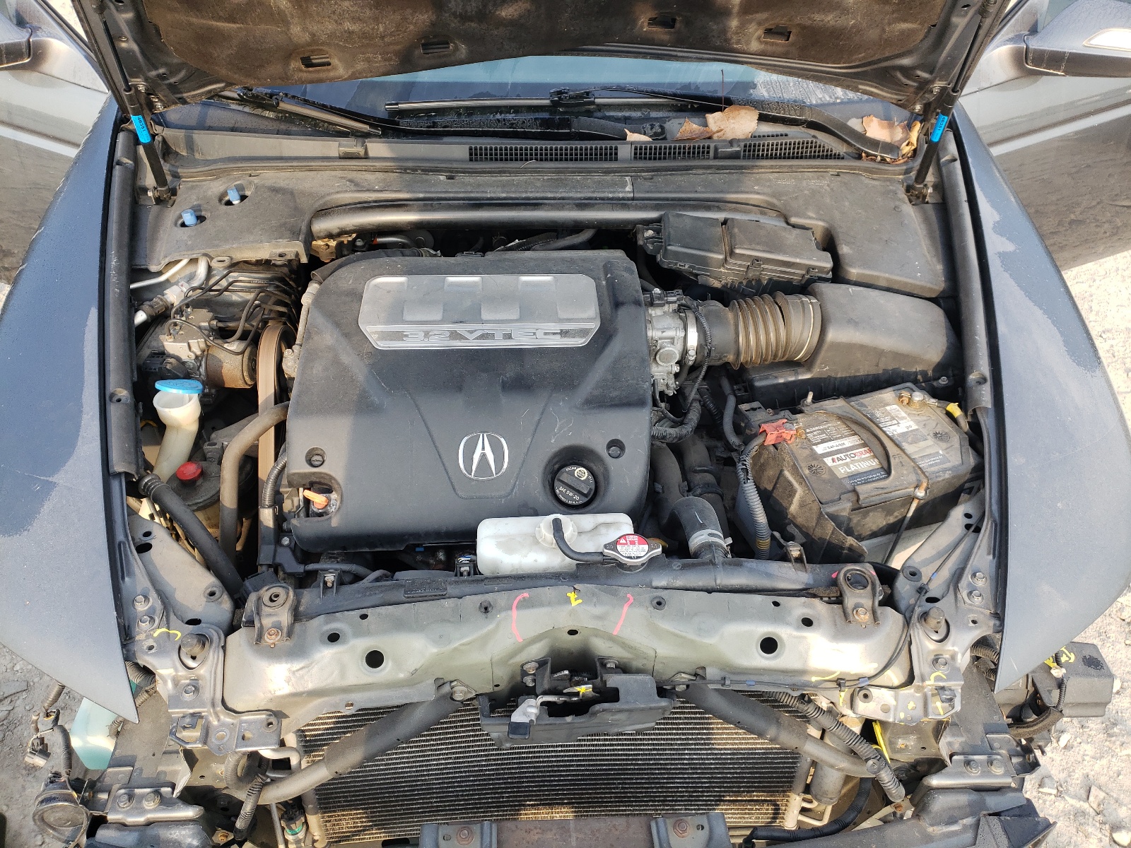 Photo 7 from auction – 2008 ACURA TL with VIN 19UUA66268A002725