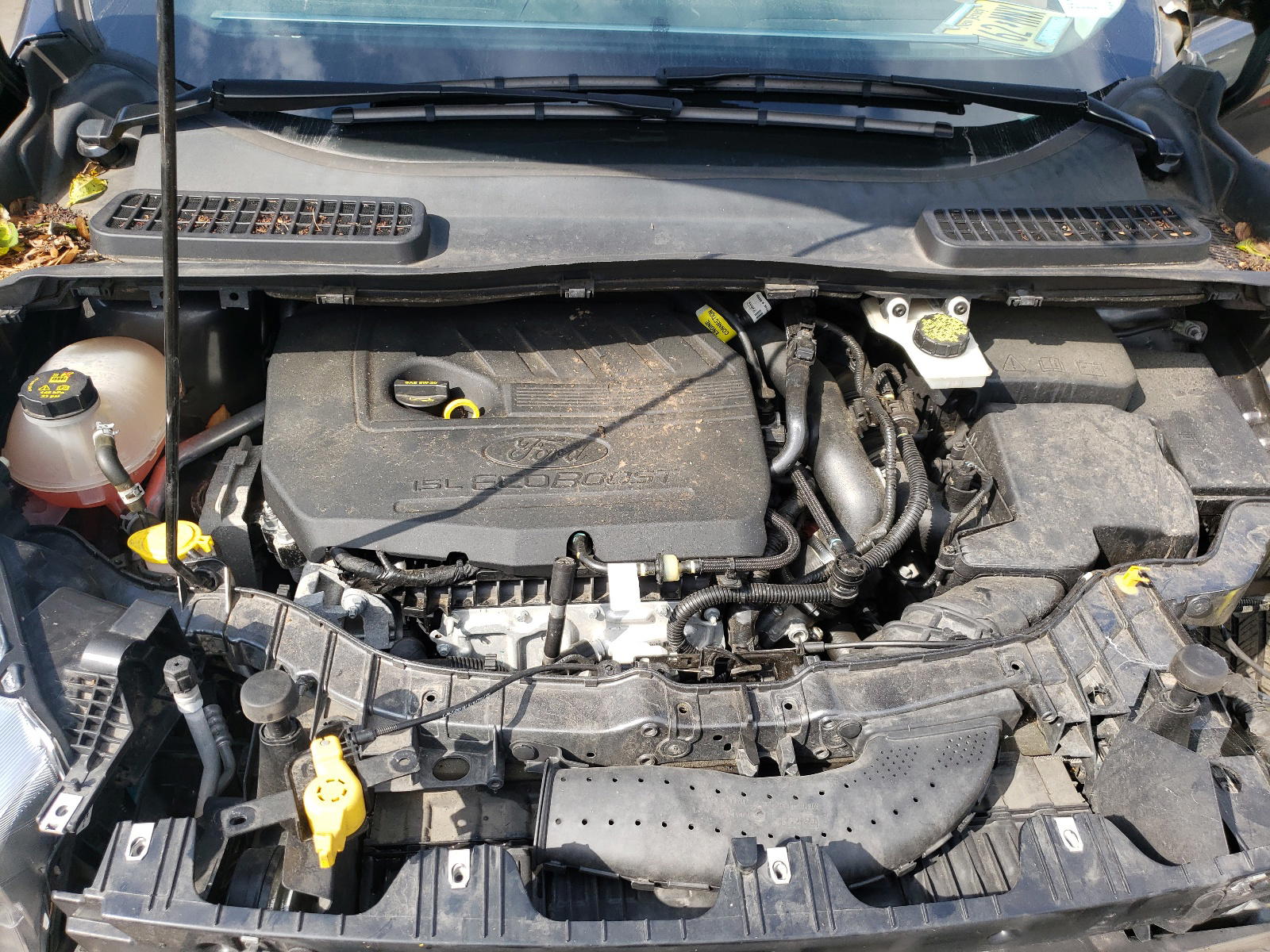 Photo 7 from auction – 2017 FORD ESCAPE SE with VIN 1FMCU0GD0HUB99206