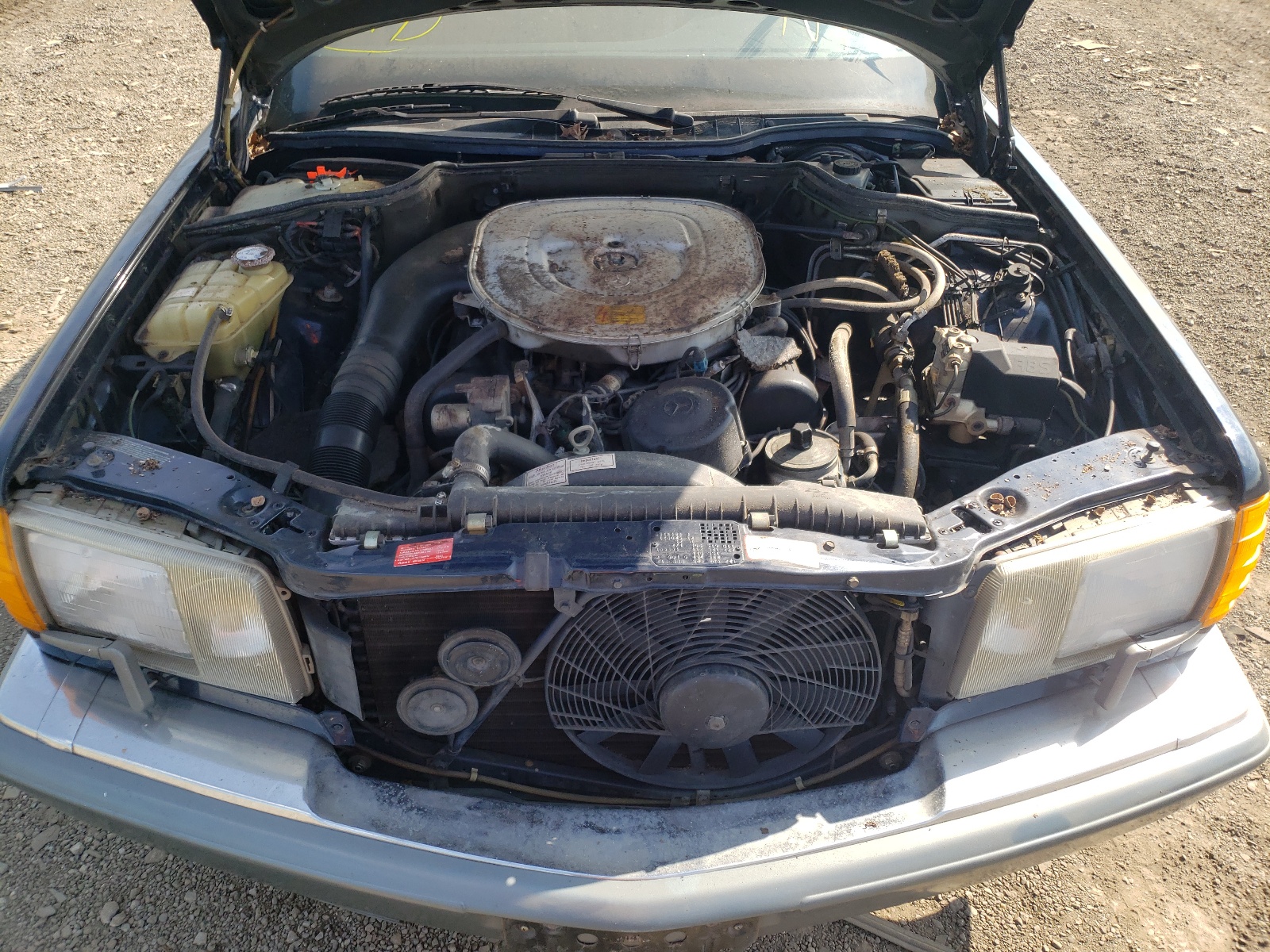Photo 20 from auction – 1986 MERCEDES-BENZ 420-CLASS with VIN WDBCA35D5GA247105