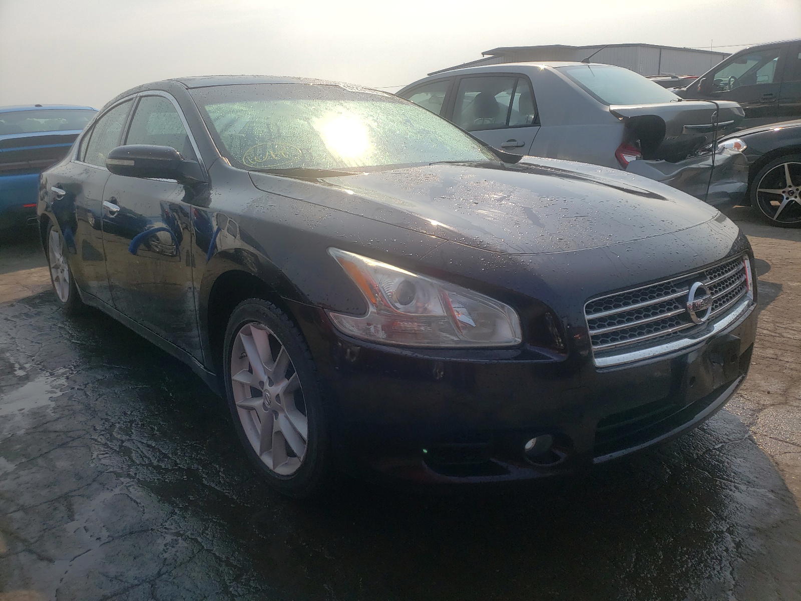NISSAN MAXIMA S 2010 with VIN 1N4AA5AP4AC802454 - Photo from auction