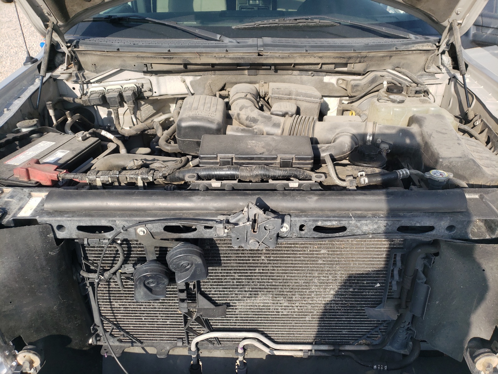 Photo 7 from auction – 2010 FORD F150 SUPER with VIN 1FTFW1EV4AFB50632