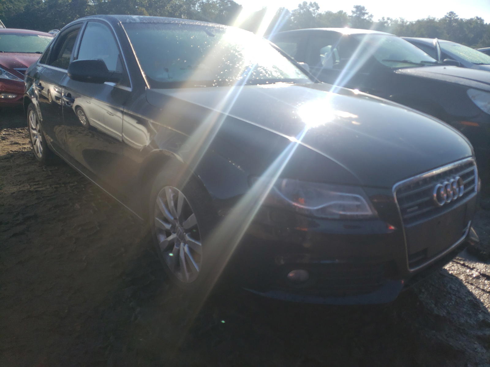 AUDI A4 PREMIUM 2010 with VIN WAUFFAFL1AN005001 - Photo from auction