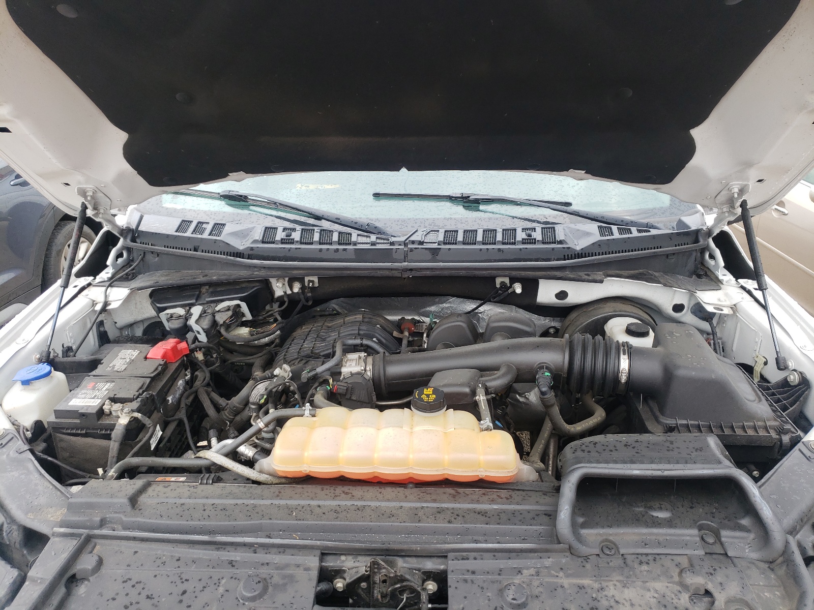 Photo 7 from auction – 2018 FORD F150 SUPER with VIN 1FTEW1CBXJKC86632