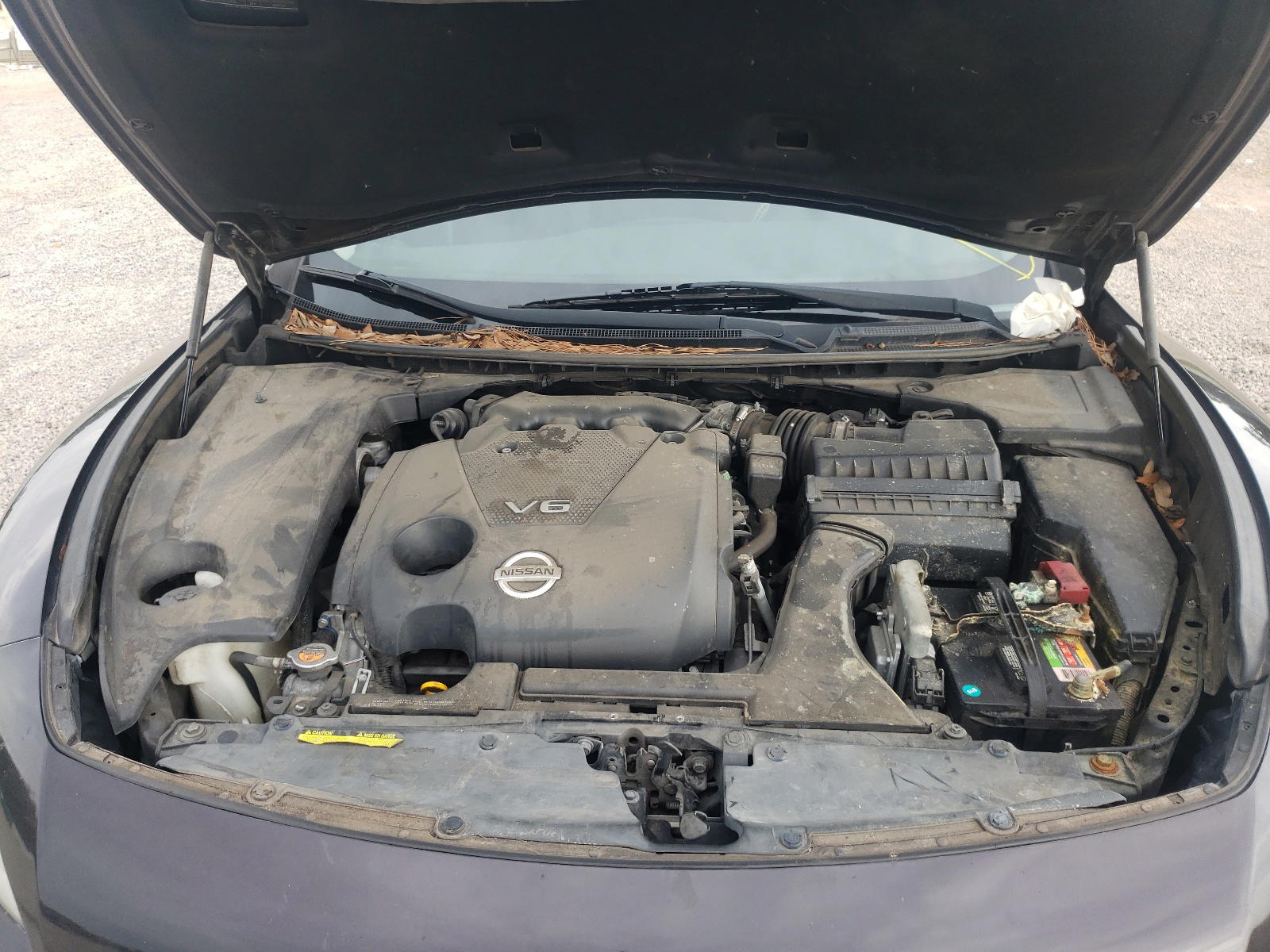 Photo 7 from auction – 2013 NISSAN MAXIMA S with VIN 1N4AA5AP4DC847964