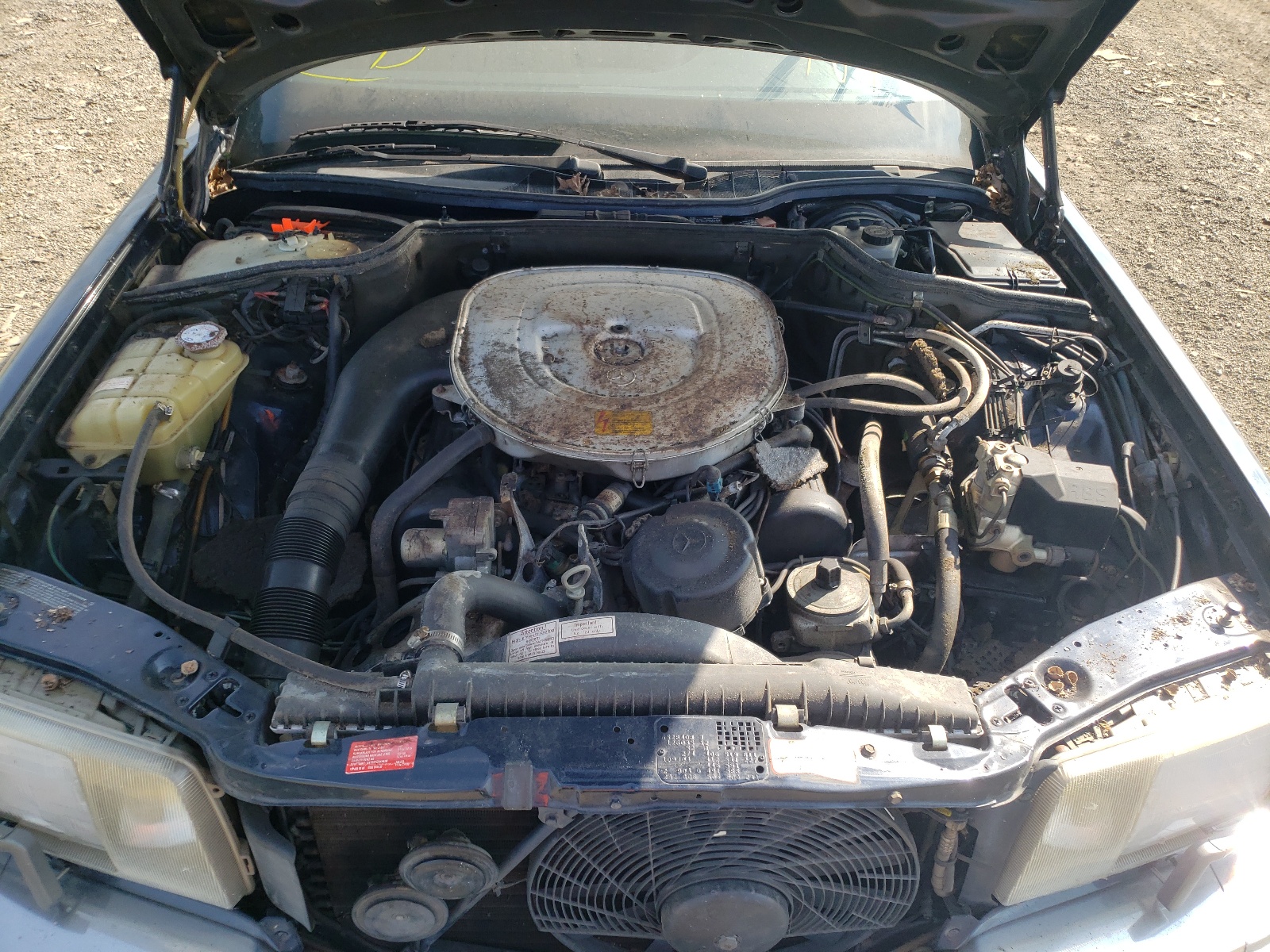 Photo 12 from auction – 1986 MERCEDES-BENZ 420-CLASS with VIN WDBCA35D5GA247105