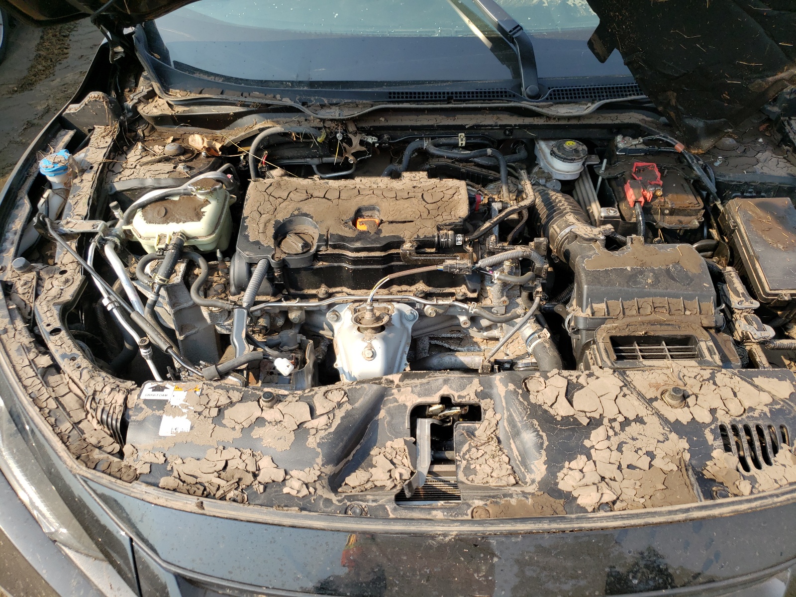 Photo 7 from auction – 2020 HONDA CIVIC LX with VIN 2HGFC2F65LH514985