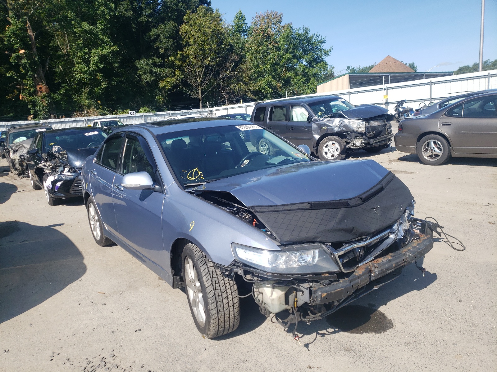 Photo 1 from auction – 2006 ACURA TSX with VIN JH4CL968X6C013849