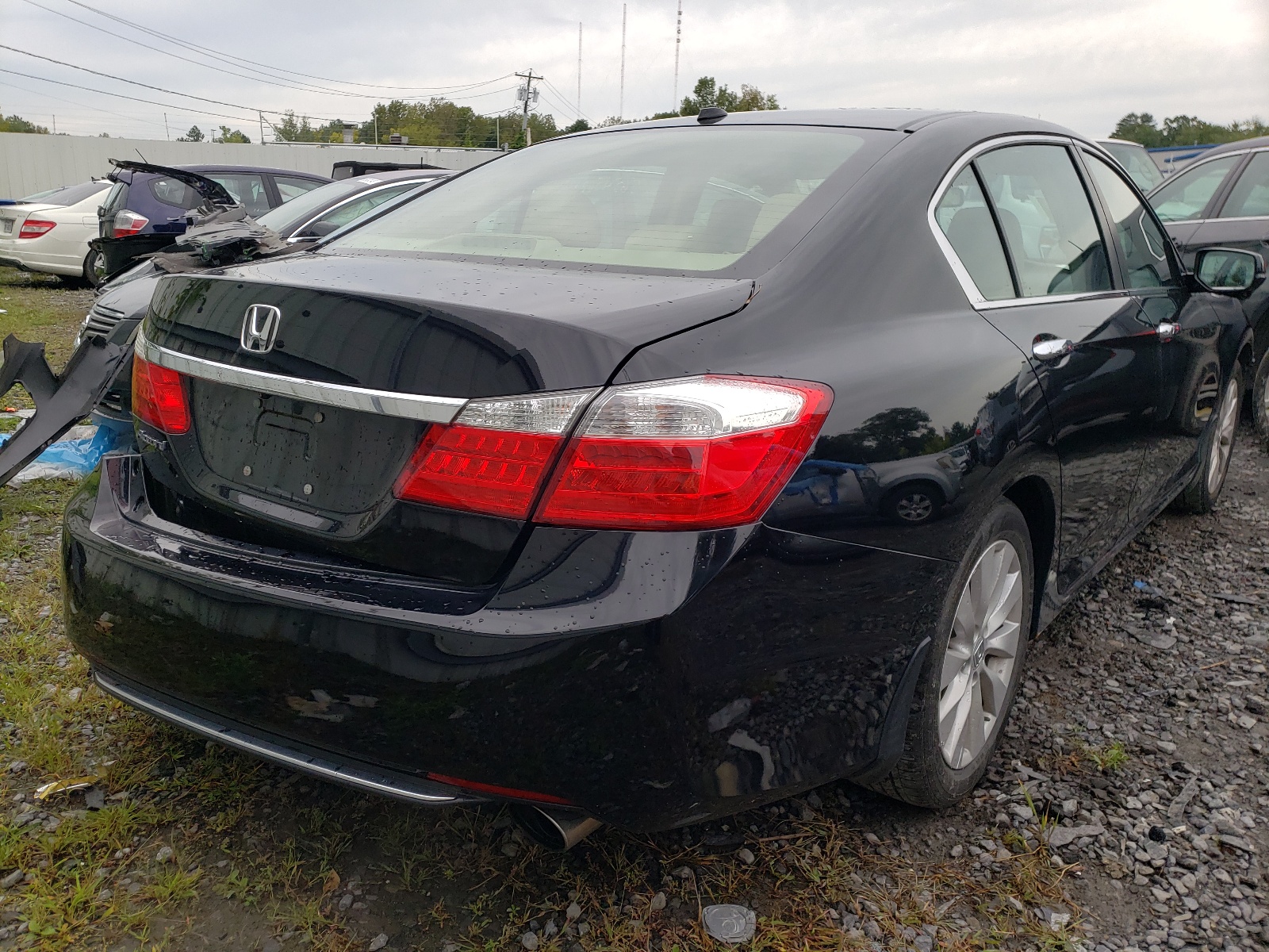 Photo 4 from auction – 2014 HONDA ACCORD EXL with VIN 1HGCR2F81EA194293