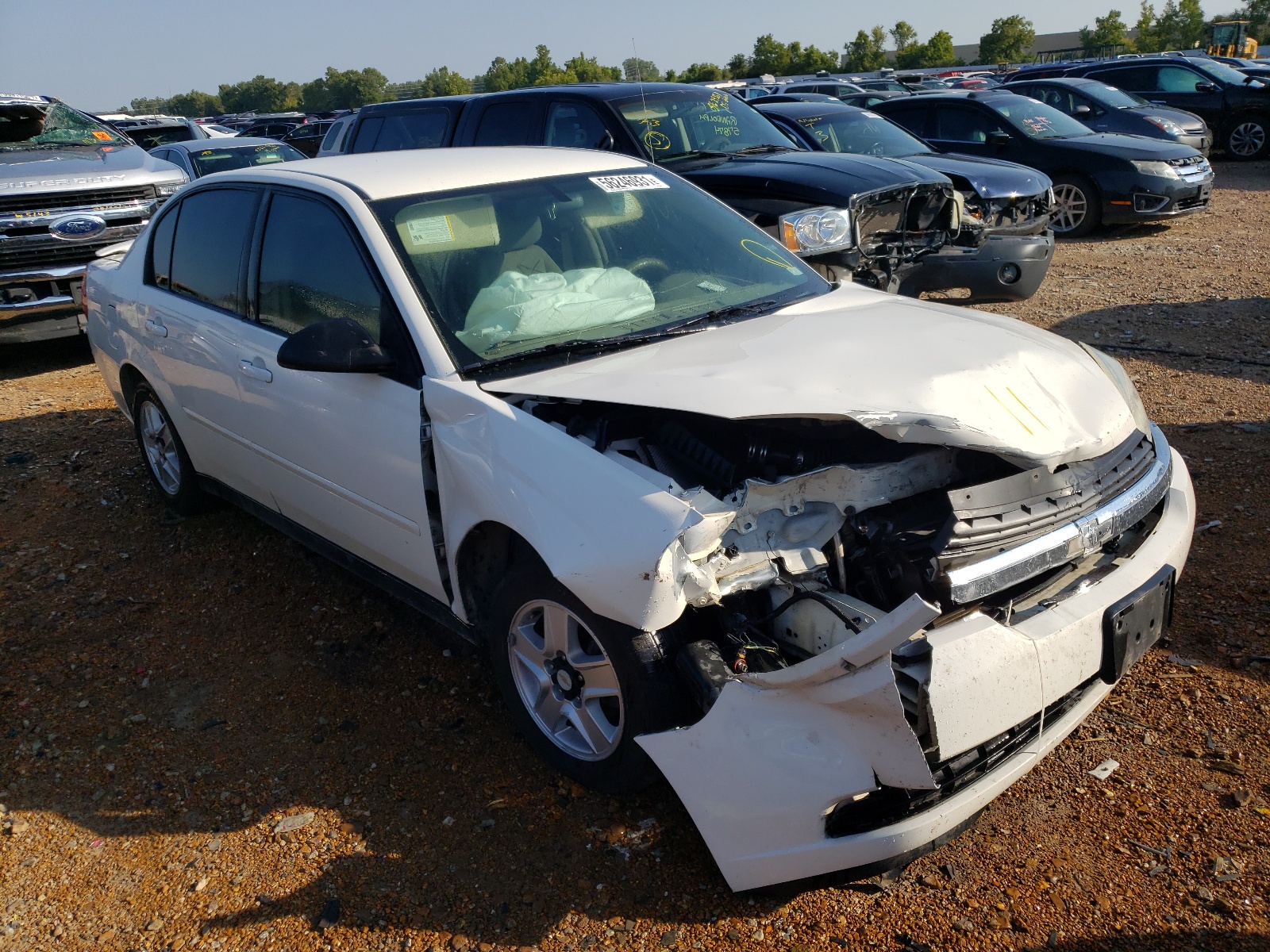 CHEVROLET MALIBU LS 2004 with VIN 1G1ZT54834F124884 - Photo from auction