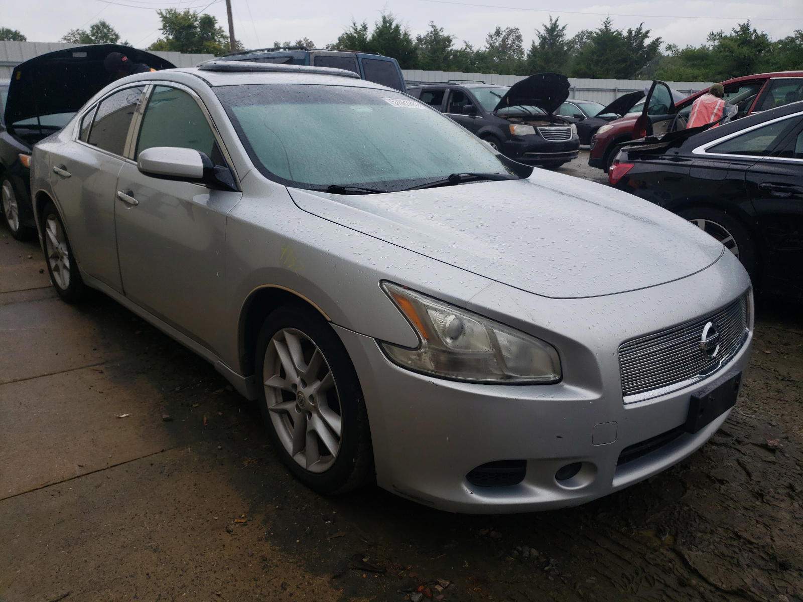 NISSAN MAXIMA S 2009 with VIN 1N4AA51E09C853878 - Photo from auction
