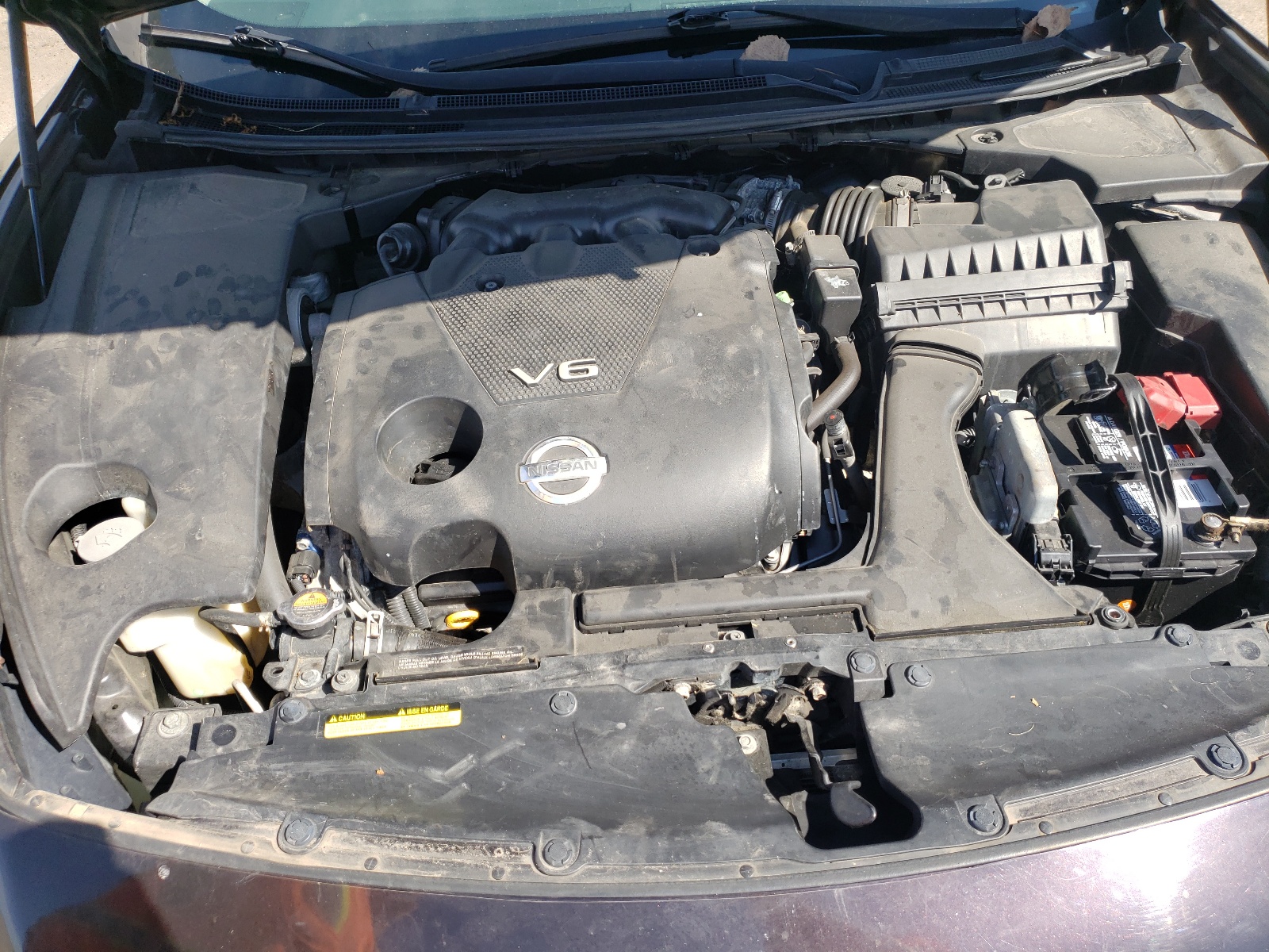 Photo 7 from auction – 2010 NISSAN MAXIMA S with VIN 1N4AA5AP5AC810627